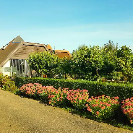 Lovely Bungalow Till 6 Persons Near Amsterdam And Sea *
